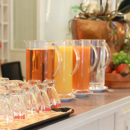 水晶公寓式酒店 公寓式酒店 弗拉绍