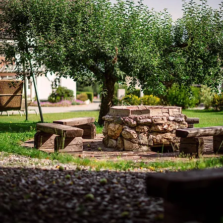 Crystls Hotel apartamentowy Flachau